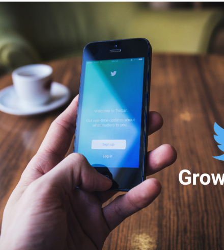 Twitter Growth